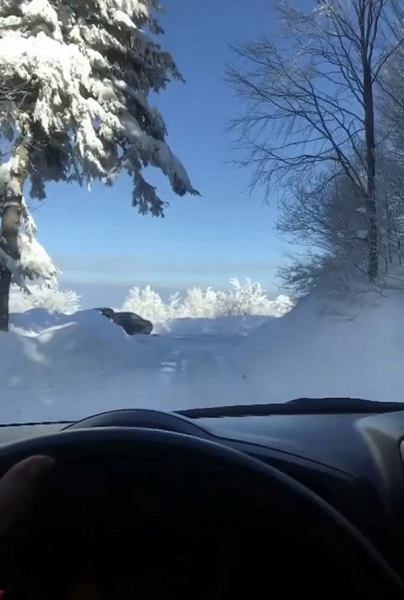 Foto - Kar manzarası hayran bıraktı