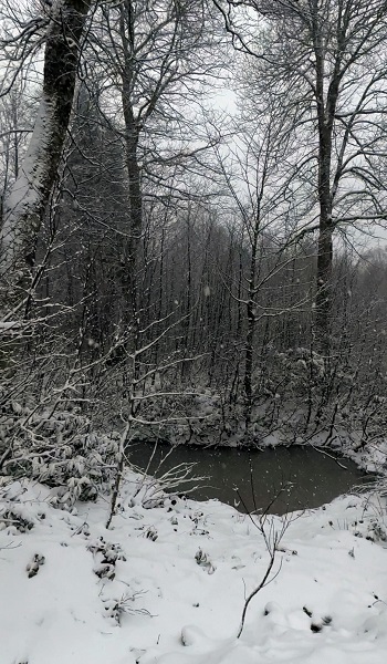 Foto - Kar manzarası hayran bıraktı