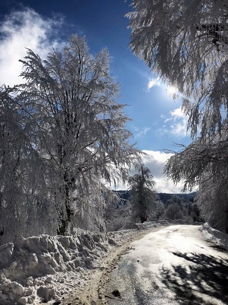 Foto - Kar manzarası hayran bıraktı