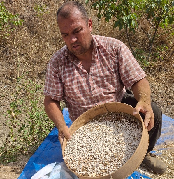 Kar sularıyla sulanıyor! Bu lezzetin ünü sınırları aştı
