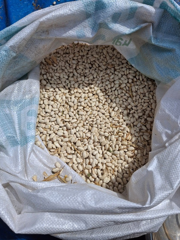 Foto - Kar sularıyla sulanıyor! Bu lezzetin ünü sınırları aştı