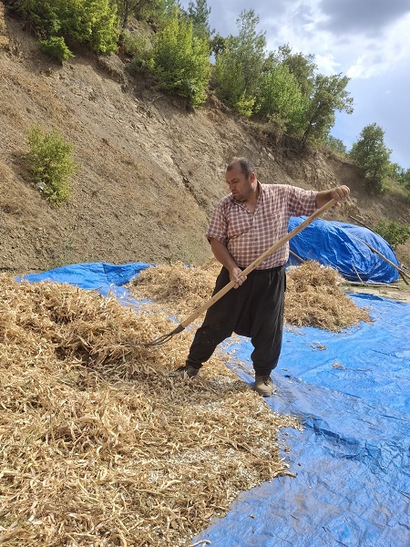 Foto - Kar sularıyla sulanıyor! Bu lezzetin ünü sınırları aştı