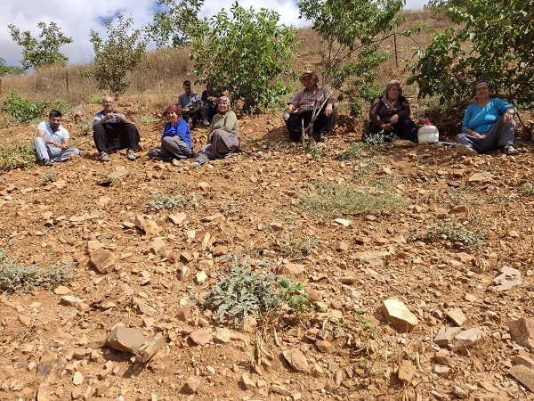 Foto - Kar sularıyla sulanıyor! Bu lezzetin ünü sınırları aştı