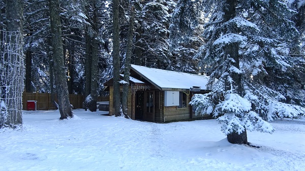 Foto - Kar yağdı, orman evleri dolup taştı