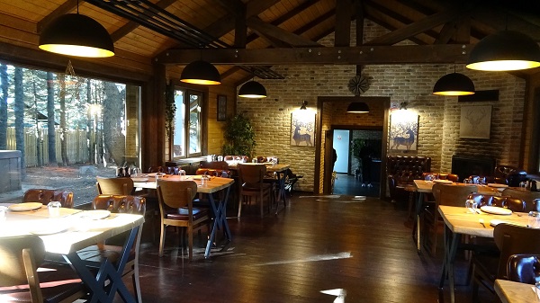 Foto - Kar yağdı, orman evleri dolup taştı