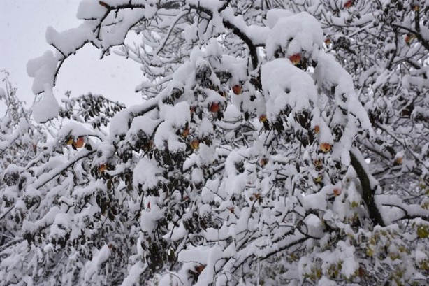 Foto - Kar yağışı Doğu'da 270 köy yolunu kapadı