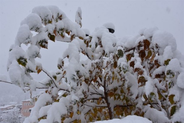 Foto - Kar yağışı Doğu'da 270 köy yolunu kapadı