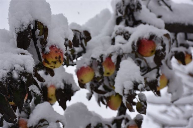 Foto - Kar yağışı Doğu'da 270 köy yolunu kapadı
