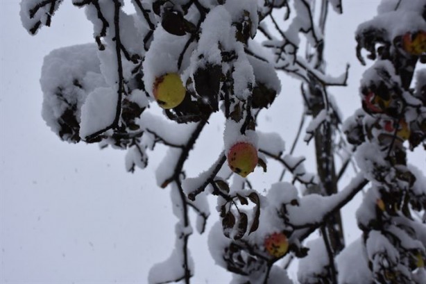 Foto - Kar yağışı Doğu'da 270 köy yolunu kapadı