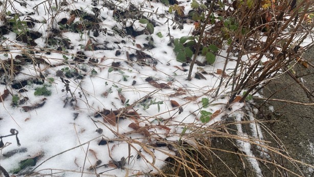 Foto - Kar yağışı İstanbul'un kapısına dayandı! Her yer bembeyaz