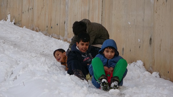 Foto - Kar yağışının keyfini onlar çıkarttı! Dört gözle beklediler keyfini böyle sürdüler