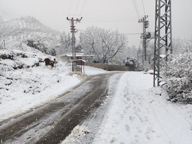 Foto - Kar yükünü kaldıramayan ahır çöktü, hayvanlar telef oldu!