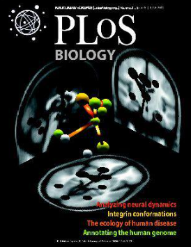 Foto - Kara Veba! Milyonları öldüren hastalığın nasıl yayıldığı bulundu