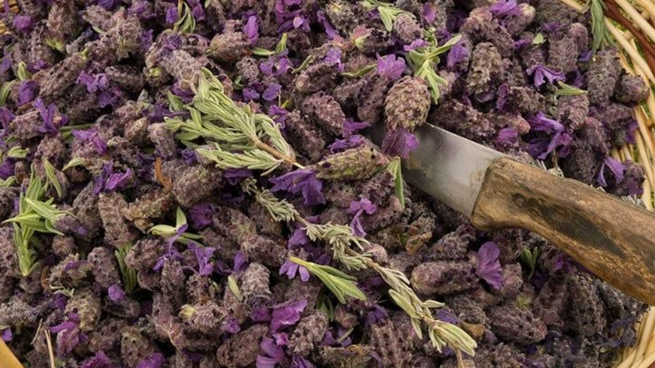 Foto - Damarları çamaşır suyu ile temizlemiş gibi yapıyor! Kalbin en kuvvetli ilacı