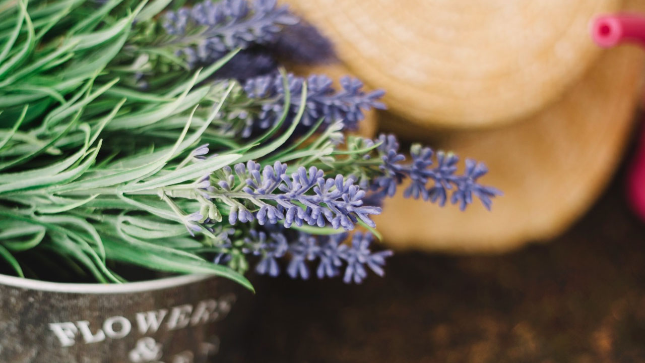 Foto - Damarları çamaşır suyu ile temizlemiş gibi yapıyor! Kalbin en kuvvetli ilacı
