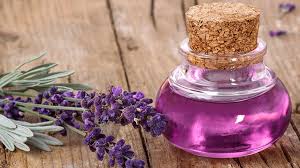 Foto - Karabaş Otu: faydaları büyüleyici renginin ardına saklanmış bir güzel! Kaygı bozukluğuna karşı iyi geliyor