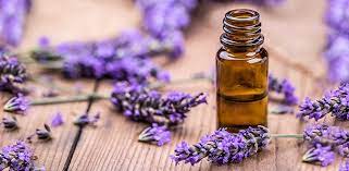 Foto - Karabaş Otu: faydaları büyüleyici renginin ardına saklanmış bir güzel! Kaygı bozukluğuna karşı iyi geliyor