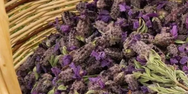 Foto - Karabaş otu nedir? Karabaş otu faydaları nelerdir? Yeni detaylar ortaya çıktı... Aynısını evde yaparak rahatlayın