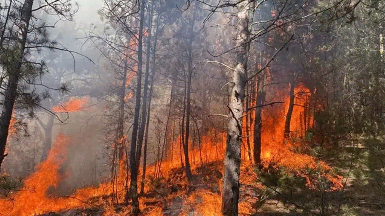 Foto - Karabük'te adeta OHAL ilan edildi! 14 köy tahliye edildi, 613 hane boşaltıldı