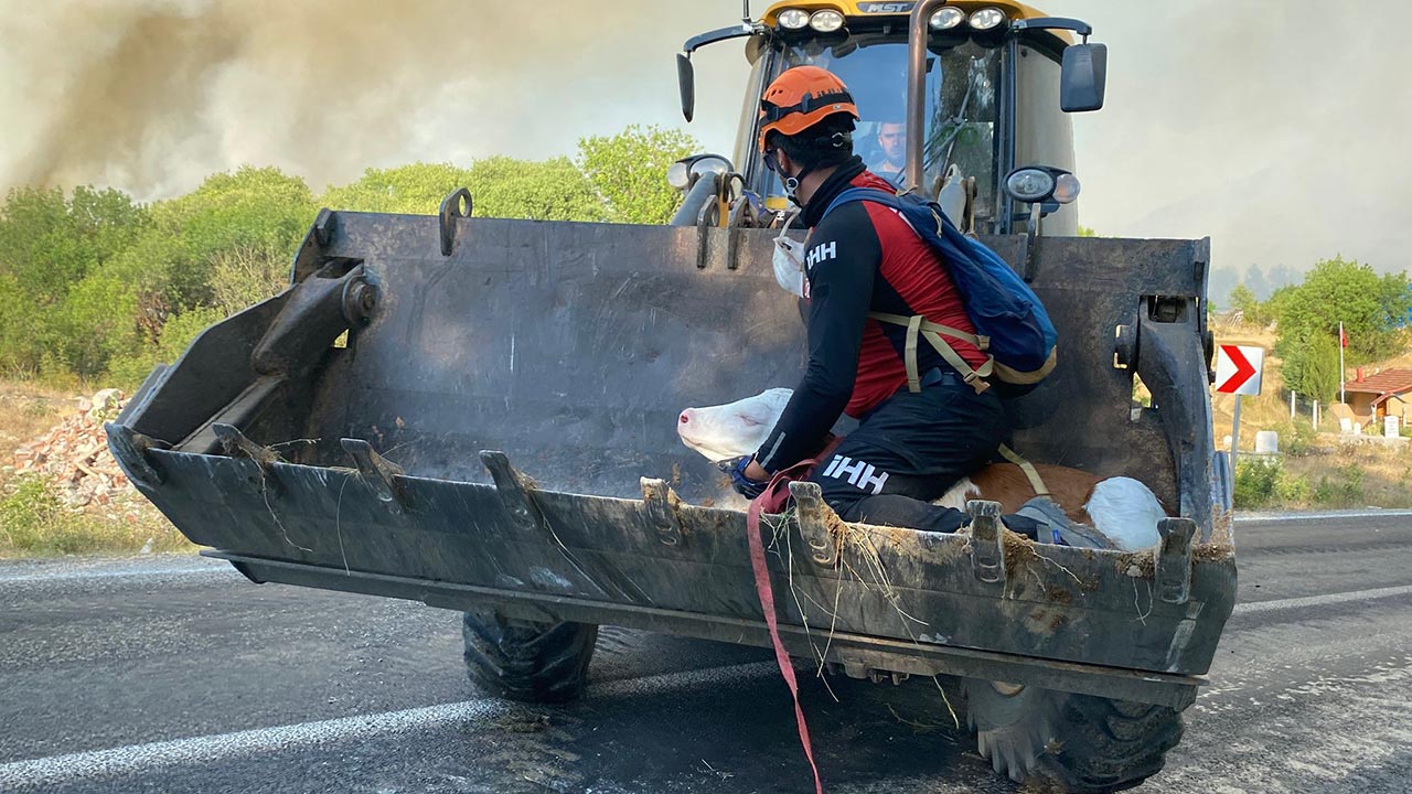 Foto - Karabük’te alarm durumu! 10 köy tahliye edildi, vali yavuz yangın bölgesinde