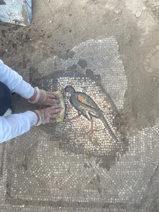 Foto - Karabük'te bulundu! Tamı tamına bin 500 yıllık
