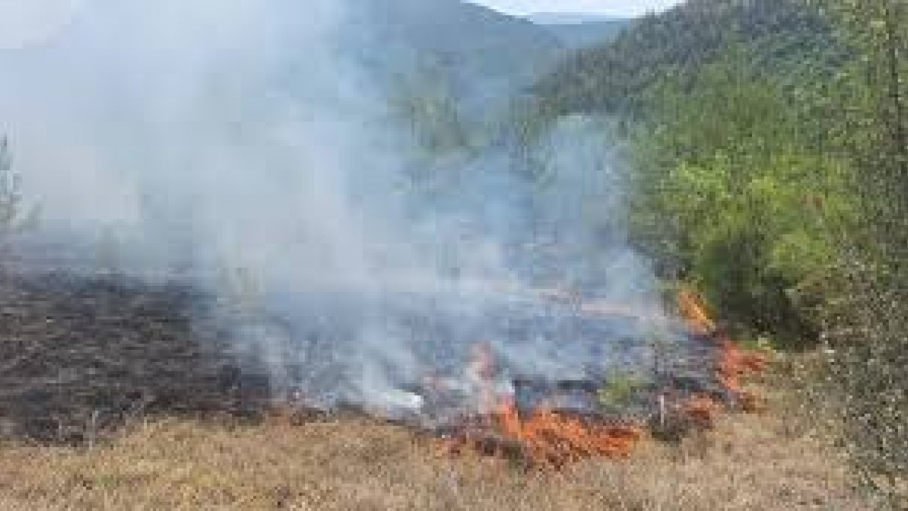 Foto - Karabük'te orman yangını büyüyor! Alevler köye dayandı, vatandaşlar panikte