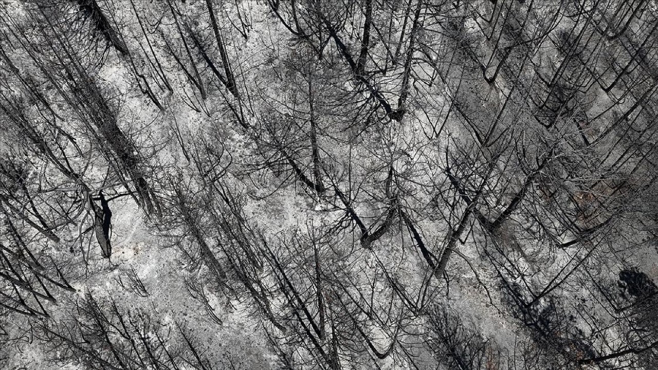 Foto - Karabük'te orman yangını büyüyor! Alevler köye dayandı, vatandaşlar panikte