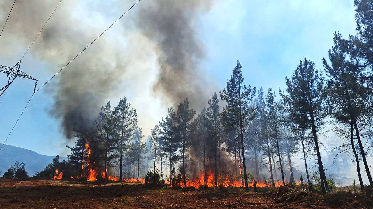 Foto - Karabük'te orman yangını büyüyor! Alevler köye dayandı, vatandaşlar panikte