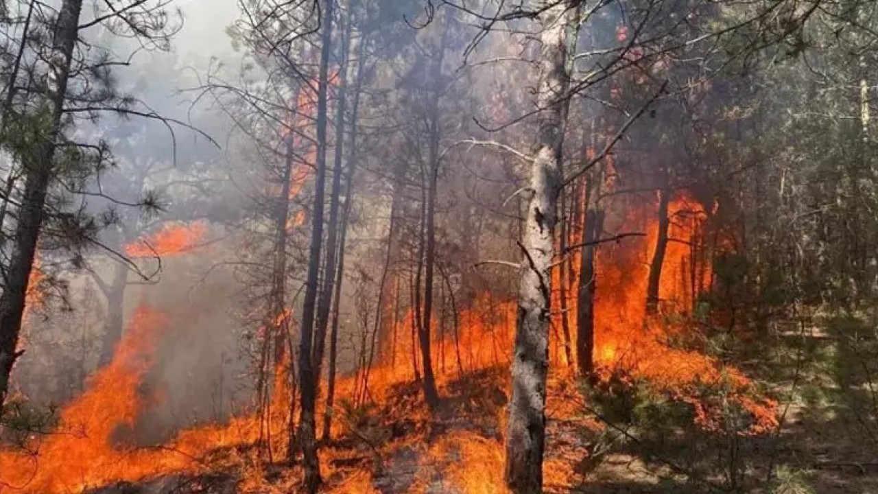 Foto - Karabük'te orman yangını büyüyor! Alevler köye dayandı, vatandaşlar panikte