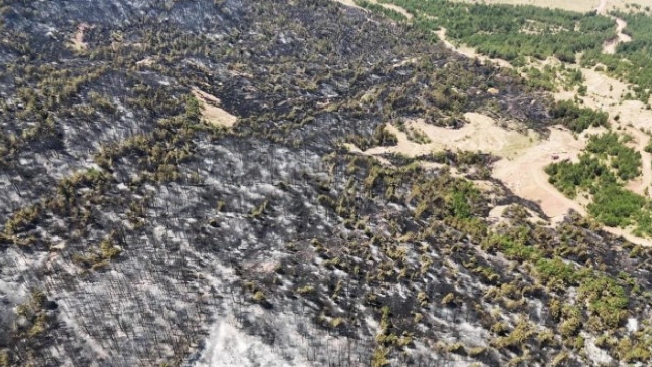 Foto - Karabük’te orman yangınlarının bıraktığı acı görüntüler