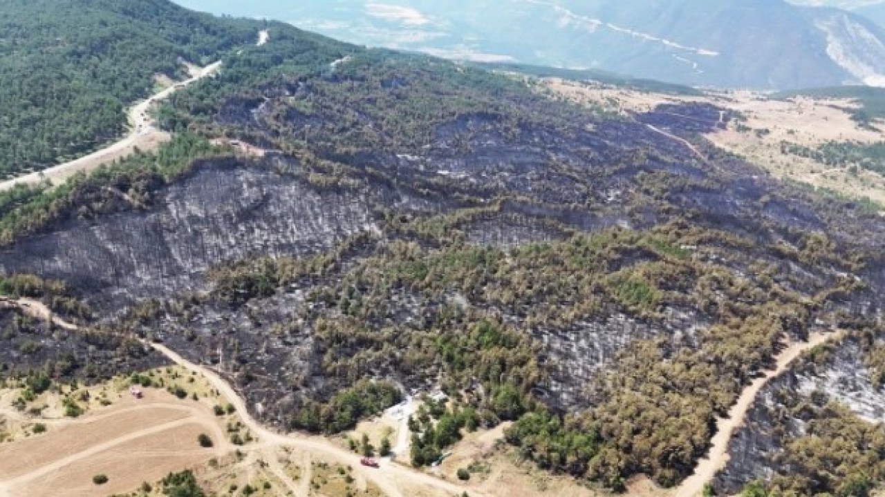 Foto - Karabük’te orman yangınlarının bıraktığı acı görüntüler