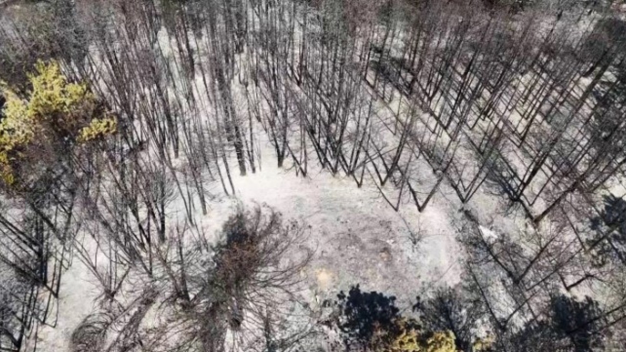 Foto - Karabük’te orman yangınlarının bıraktığı acı görüntüler
