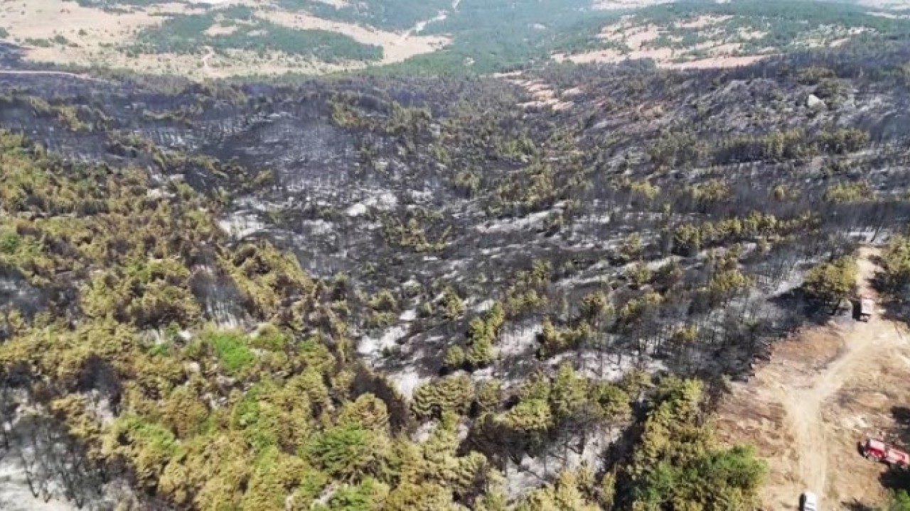 Foto - Karabük’te orman yangınlarının bıraktığı acı görüntüler