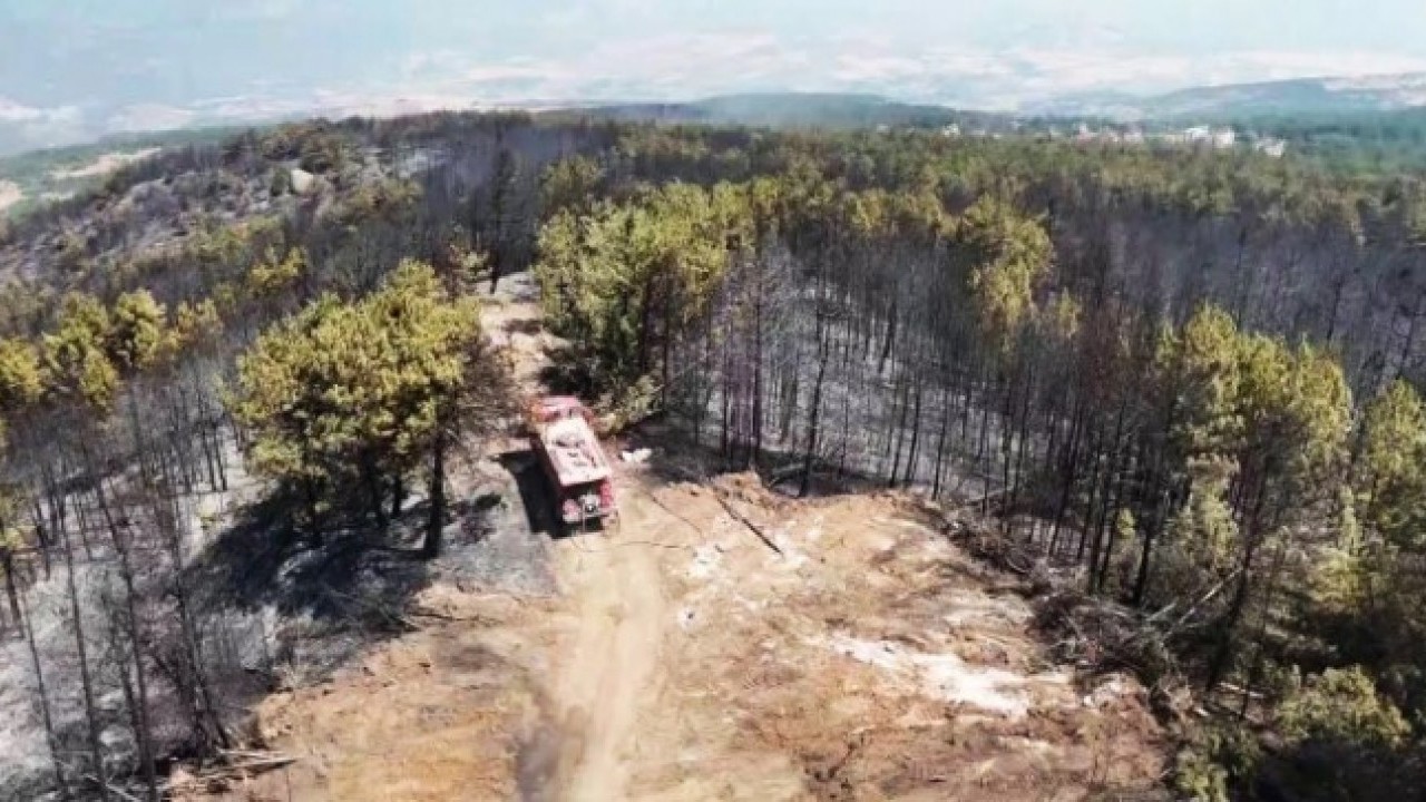 Foto - Karabük’te orman yangınlarının bıraktığı acı görüntüler