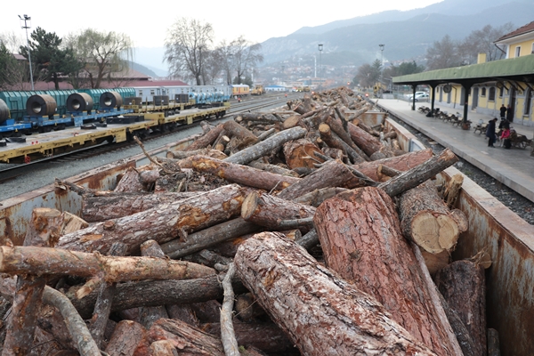 Foto - Karabük'ten deprem bölgesine gönderildi... Tam 20 vagon