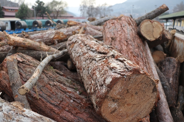 Foto - Karabük'ten deprem bölgesine gönderildi... Tam 20 vagon