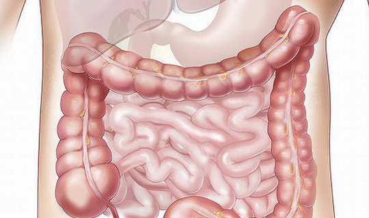 Karaciğer temizliği! Karaciğeri 18 yaşına döndürüp, önemli değişiklik yapan işte yeni liste: Hasarının önüne geçiyor