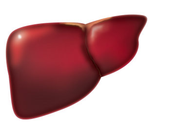 Foto - Karaciğer temizliği! Karaciğeri 18 yaşına döndürüp, önemli değişiklik yapan işte yeni liste: Hasarının önüne geçiyor