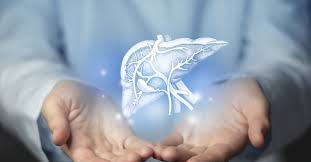 Foto - Karaciğer temizliği: nasıl, neler yapılmalı? Kullanmanız gereken şeyler var: Tadına bakan şaşıp kalıyor! 