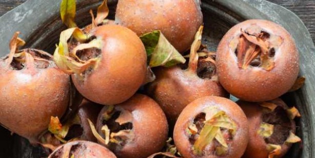 Karaciğer temizliği: nasıl, neler yapılmalı? Kullanmanız gereken şeyler var: Tadına bakan şaşıp kalıyor! 