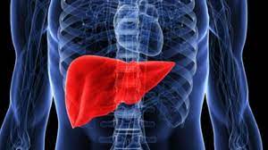 Foto - Karaciğer temizliği: nasıl, neler yapılmalı? Kullanmanız gereken şeyler var: Tadına bakan şaşıp kalıyor! 