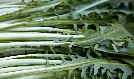 Foto - Karaciğer yağlanmasını rehabilitasyon ediyor: 'Çürüyen karaciğerin gıda mühendisi! İlaçların en büyük rakibi