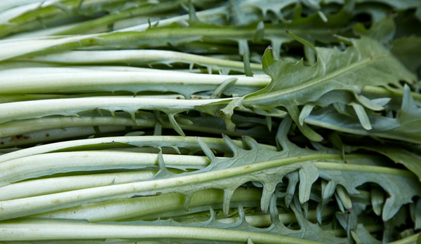 Foto - Karaciğer yağlanmasını rehabilitasyon ediyor: 'Çürüyen karaciğerin gıda mühendisi! İlaçların en büyük rakibi