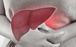 Foto - Karaciğer yağlanmasını rehabilitasyon ediyor: 'Çürüyen karaciğerin gıda mühendisi! İlaçların en büyük rakibi