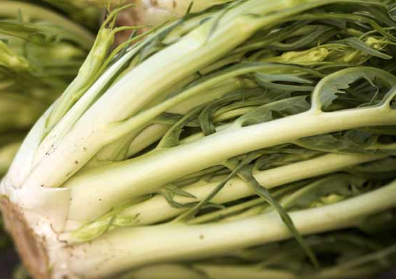 Foto - Karaciğer yağlanmasını rehabilitasyon ediyor: 'Çürüyen karaciğerin gıda mühendisi! İlaçların en büyük rakibi