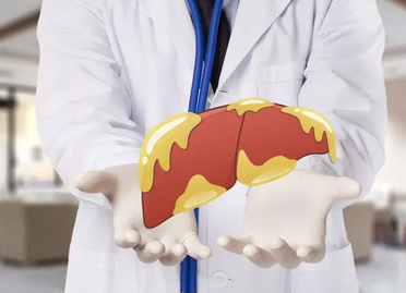 Foto - Karaciğer yağlanmasını tedavi eden sebze: Meğerse bunda saklıymış! Karaciğer yağlanması diyeti nasıl yapılır?