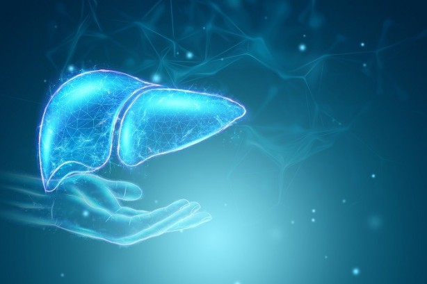 Foto - Karaciğer'i ihmal etmeyin! Beyne zarar veriyor