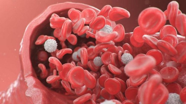 Foto - Karaciğeri mahveden beyaz zehir! Kaşık kaşık yiyoruz, damar tıkanıklığının sebebiymiş