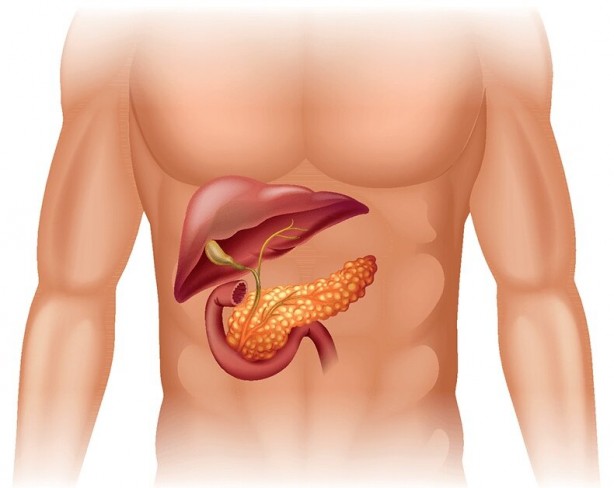 Foto - Karaciğeri temizleyen 15 gıda