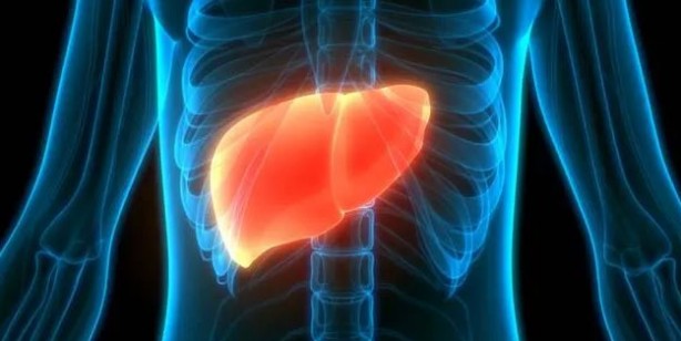 Karaciğeri temizleyen 15 gıda